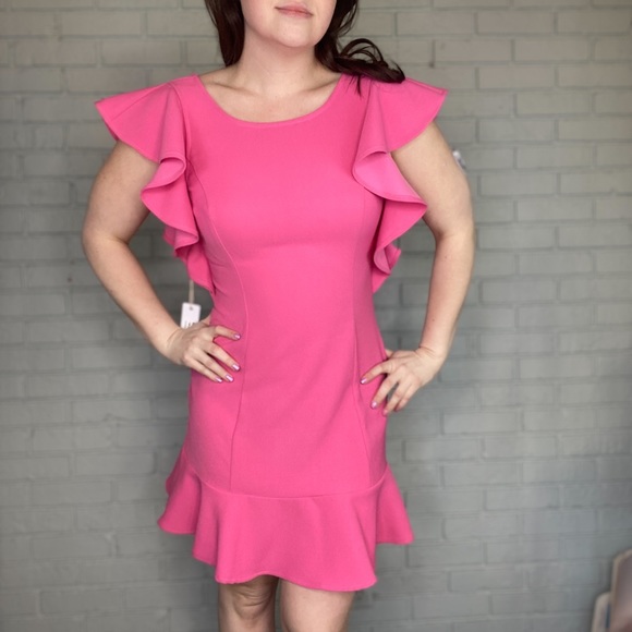 Harper Wren Lohan Dress Pink Ruffle Dress Size Large NEW with Tags - Picture 11 of 12